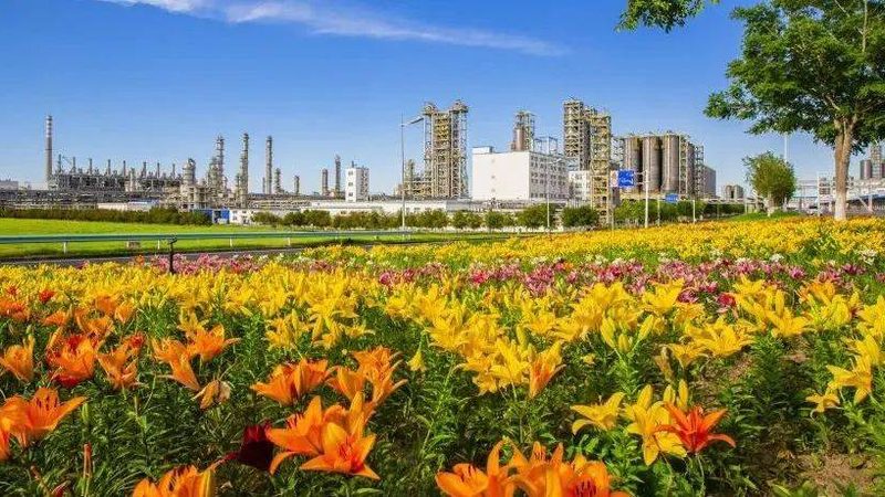 发酵用消泡剂国家标准解析：标准释义与合规要点